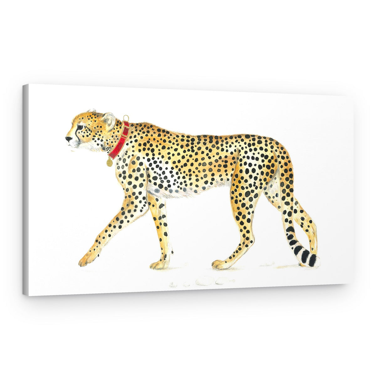Graceful Cheetah Stroll – Canvas Print