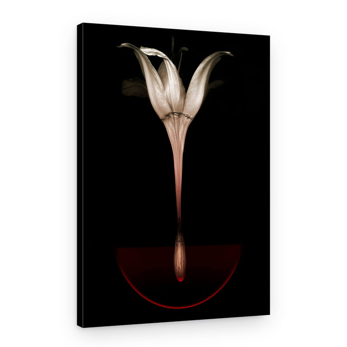Passionate Lily Wine – Canvas Print
