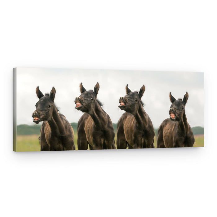 Laughing Foals – Canvas Print