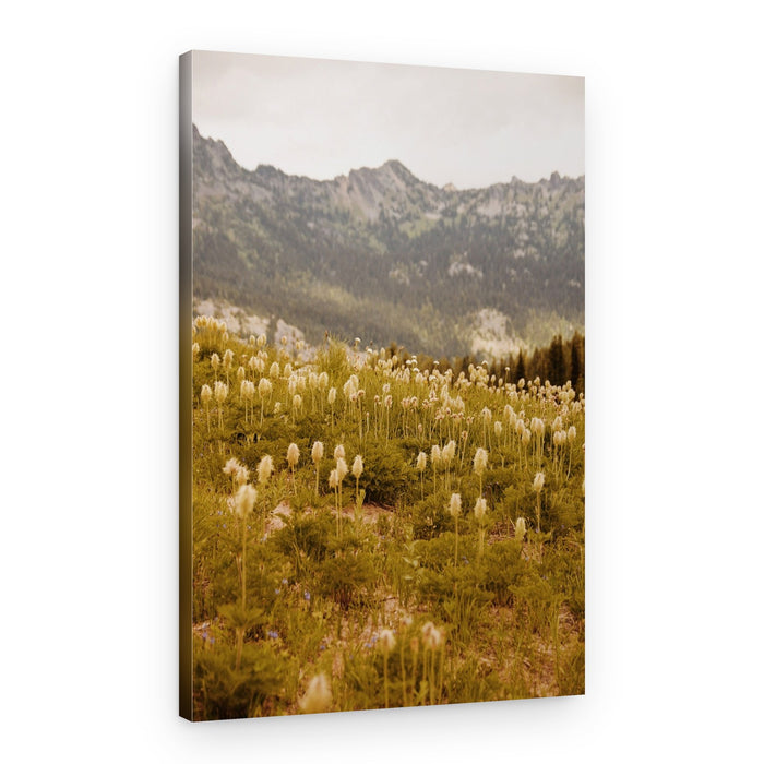 Wild Mountain Bloom – Canvas Print