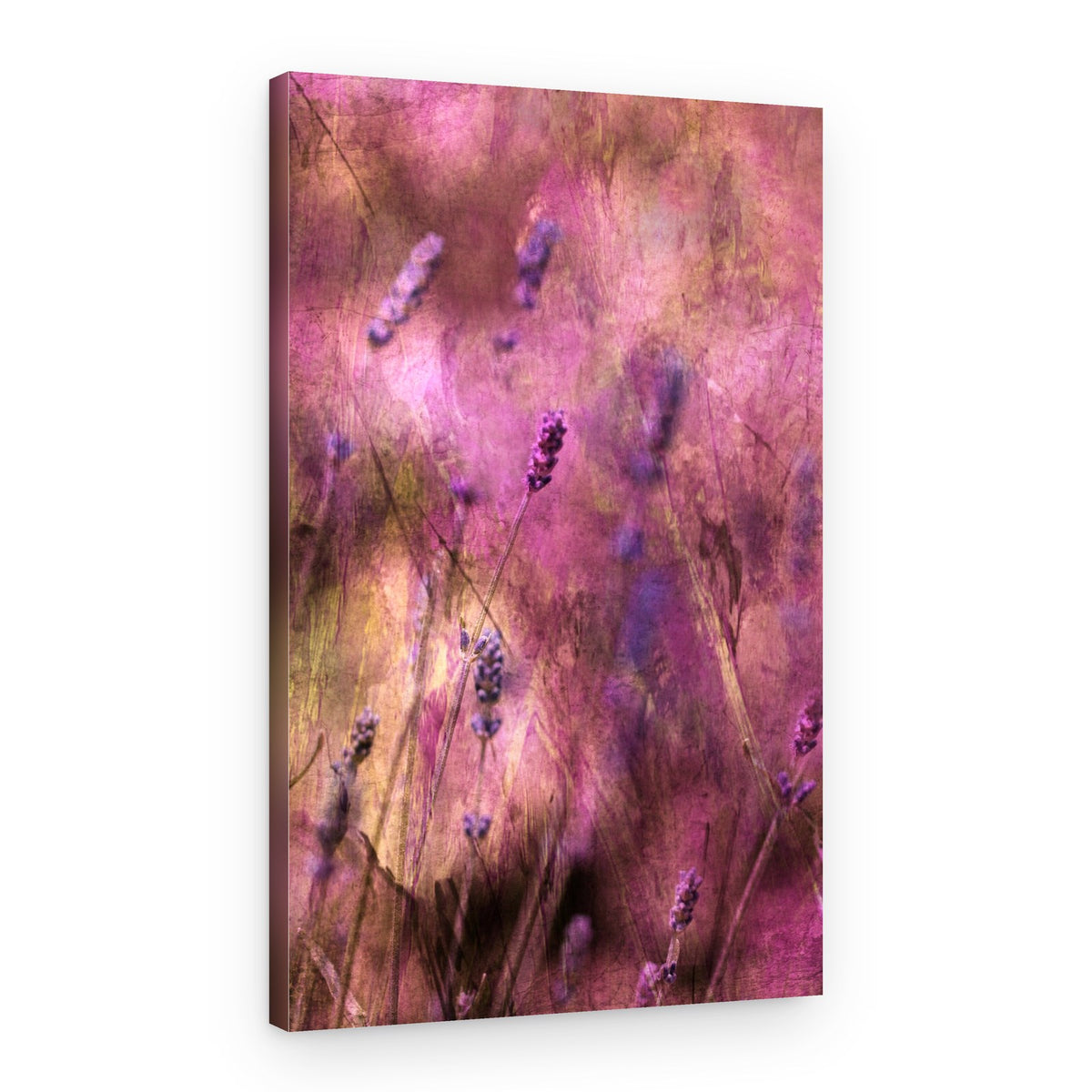 Dreamy Lavender Blooms – Canvas Print