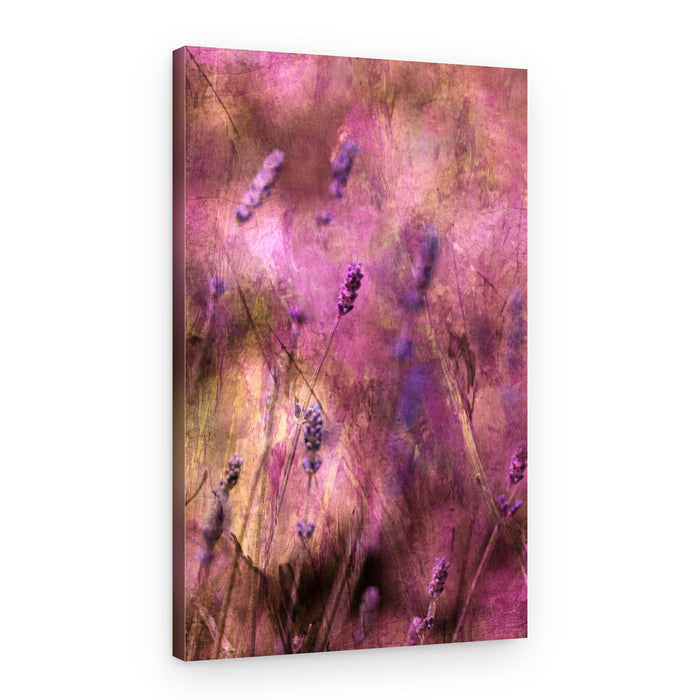Dreamy Lavender Blooms – Canvas Print