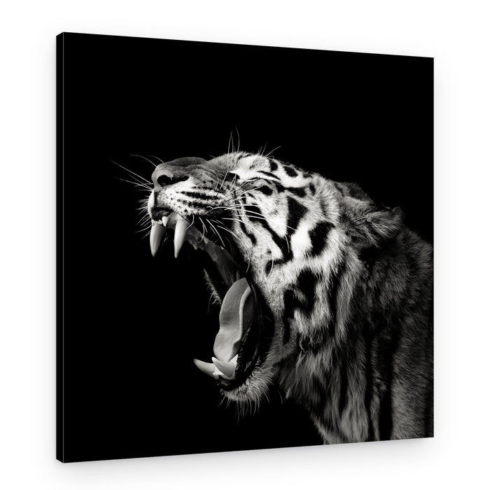 Roaring Tiger Portrait – Canvas Print