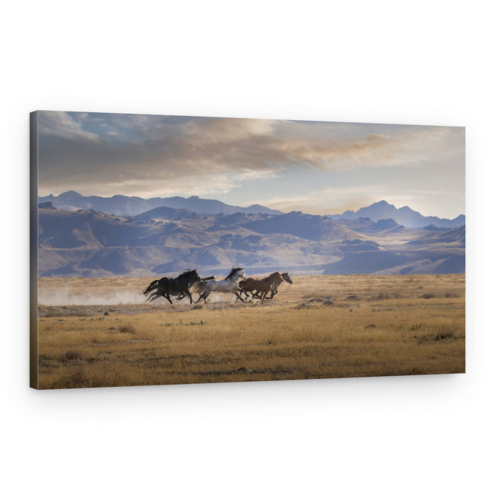 Wild Horses Running – Canvas Print