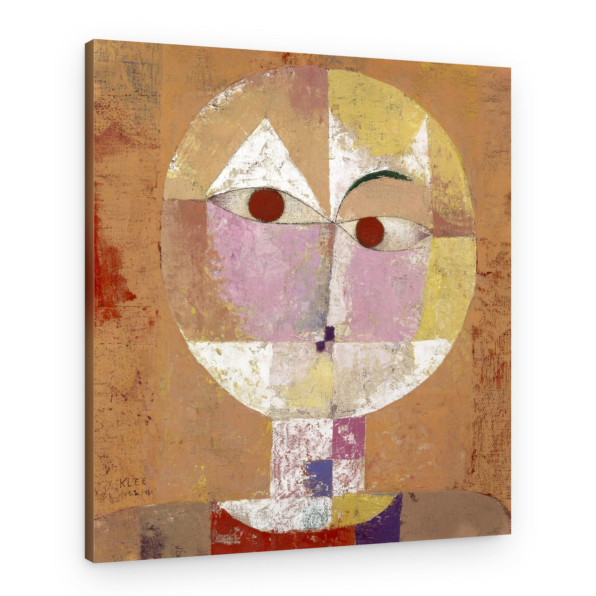 Senecio Baldgreis 1922 – Canvas Print