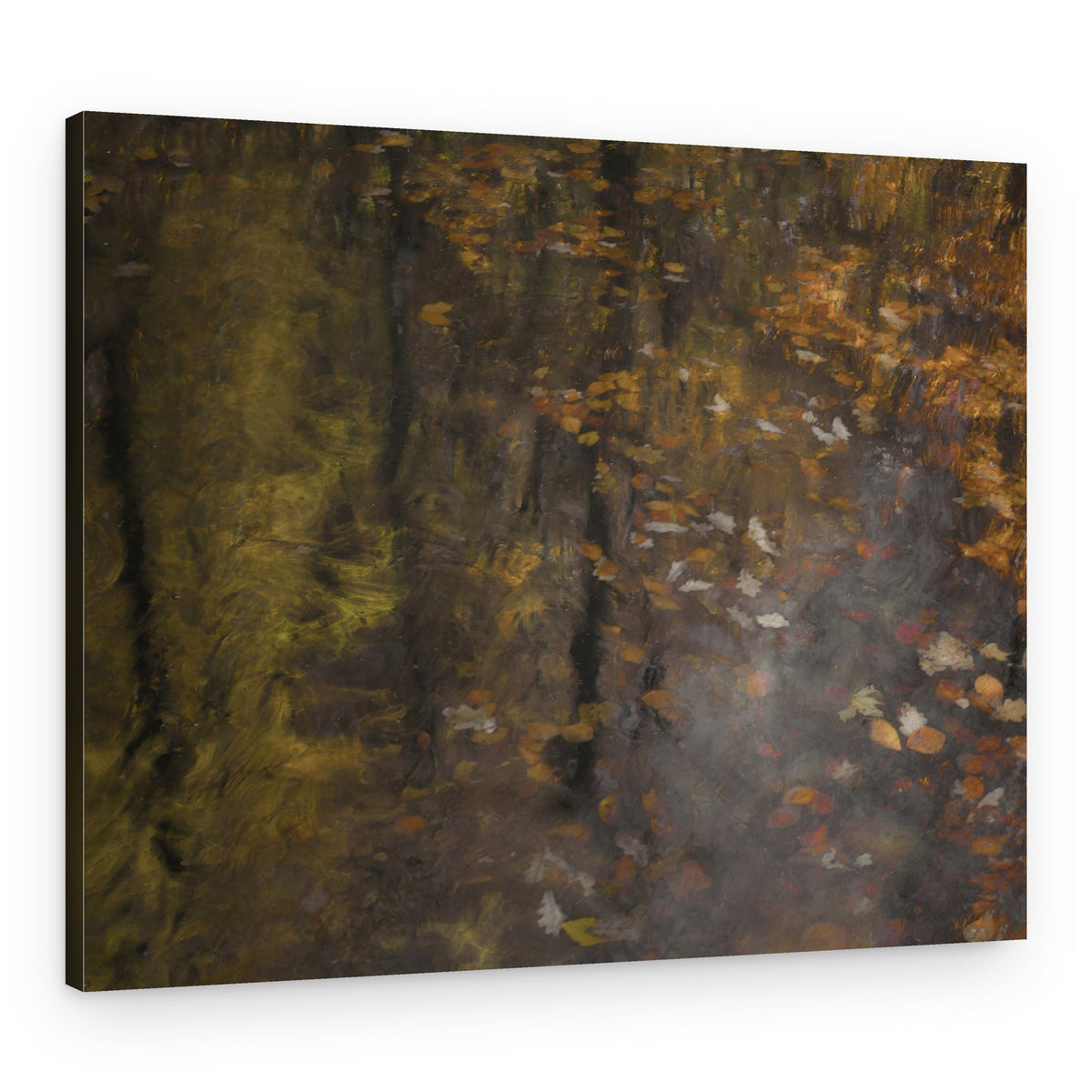 Autumn impression – Canvas Print