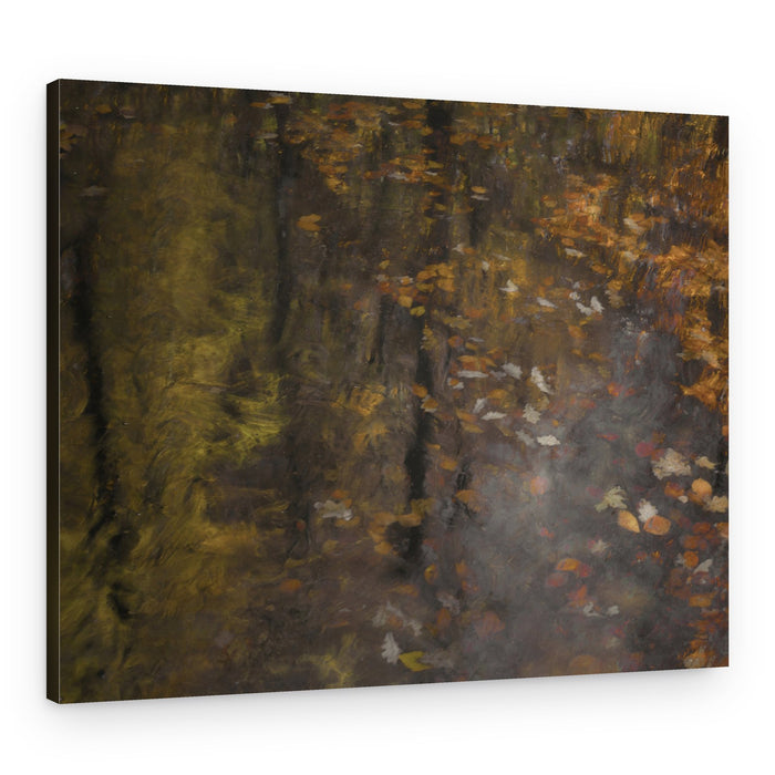 Autumn impression – Canvas Print