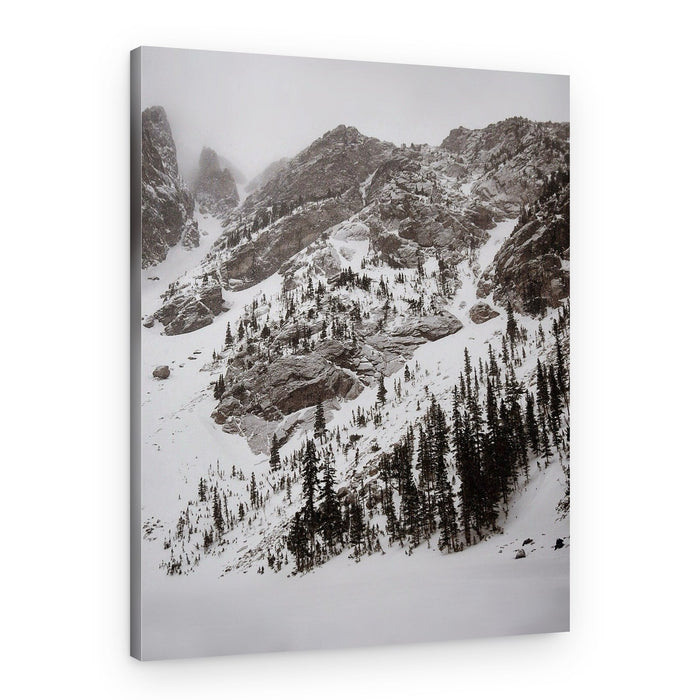 Snowy Mountain Pines – Canvas Print