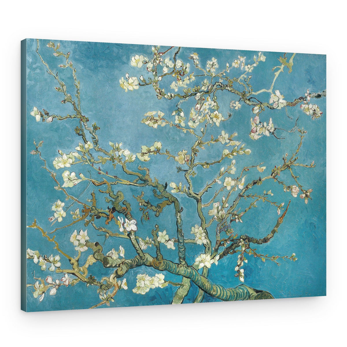 Vincent Van Gogh's Almond Blossom (1890) – Canvas Print