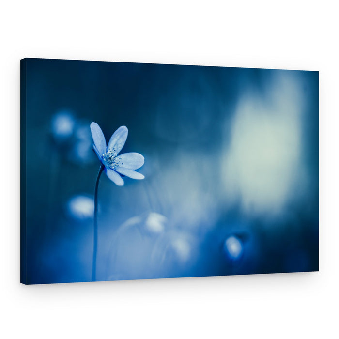 Serene Blue Bloom – Canvas Print