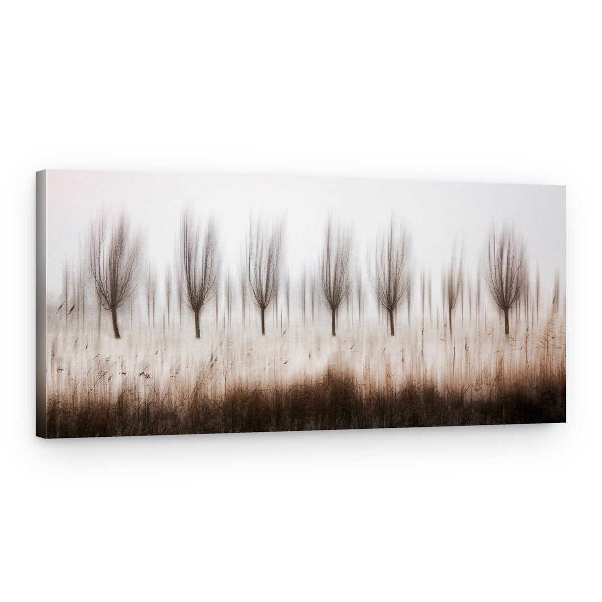 Blurred Winter Trees – Canvas Print