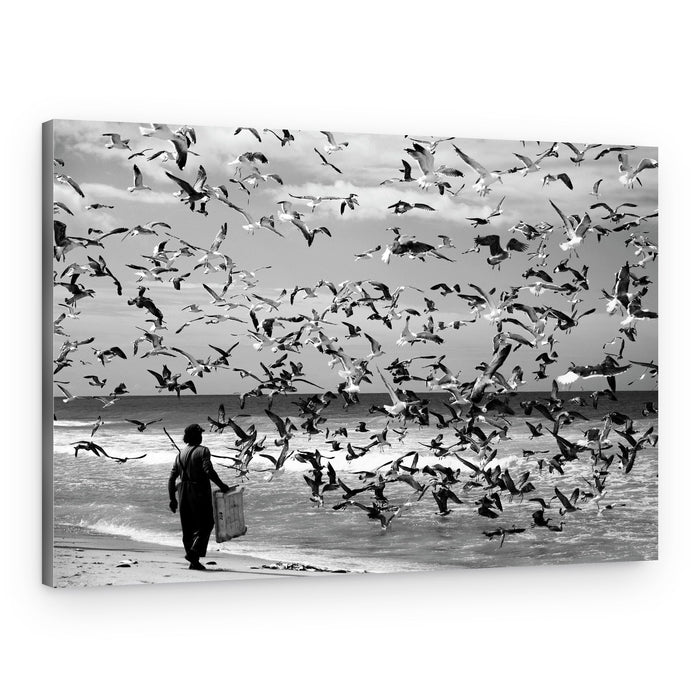 Person Among Seagulls – Canvas Print