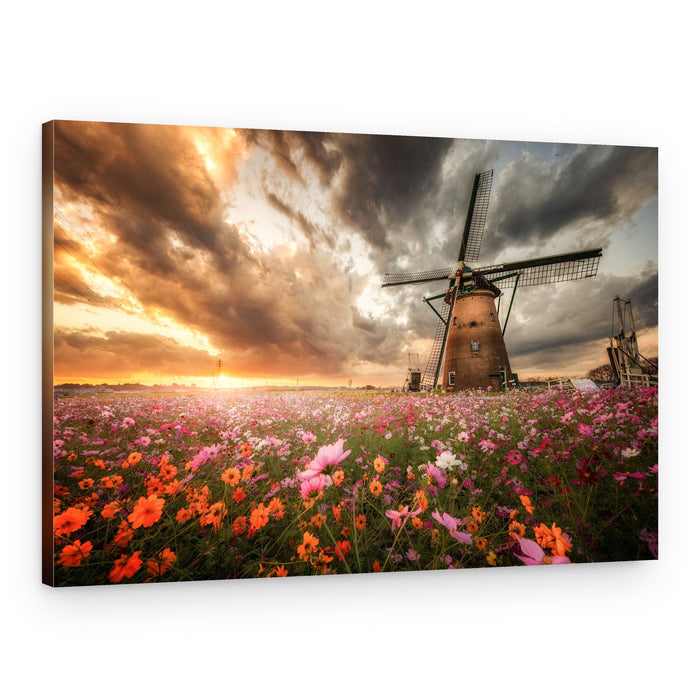 Dutch Windmill Cosmos Sunset – Canvas Print