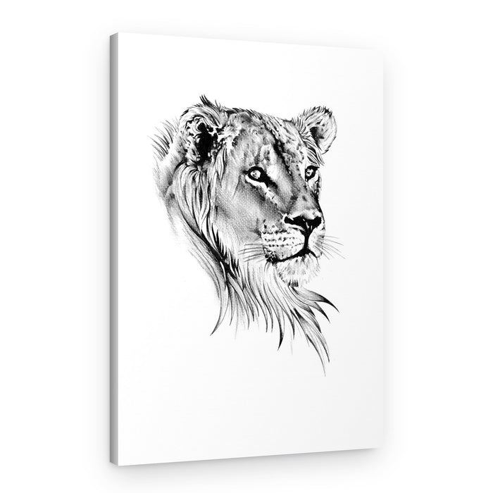 Majestic Lioness Gaze – Canvas Print