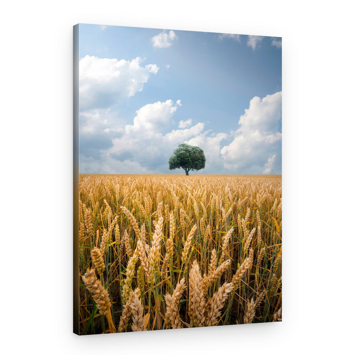 Golden Wheat Lone Tree – Canvas Print