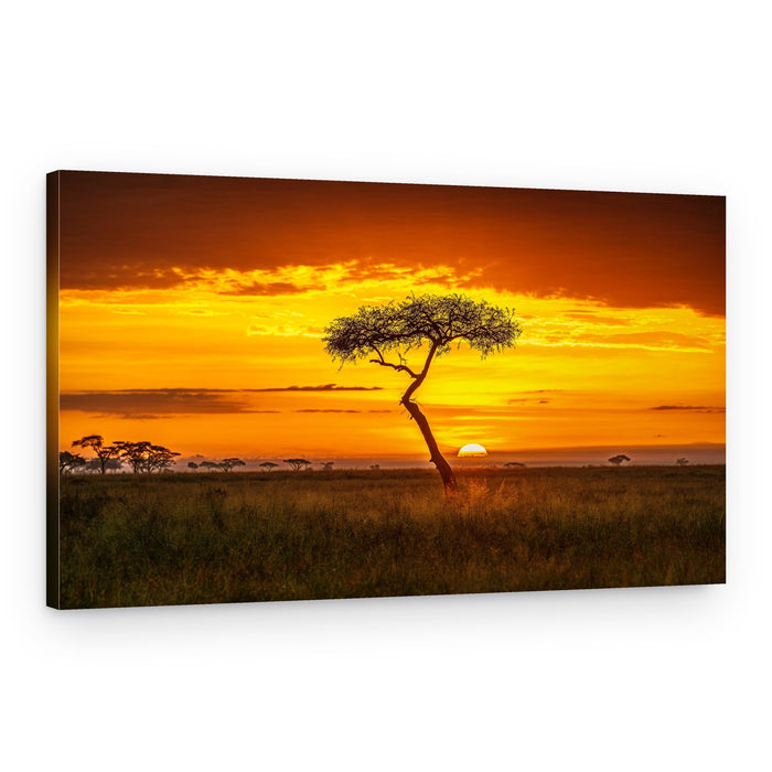 Golden African Sunset – Canvas Print