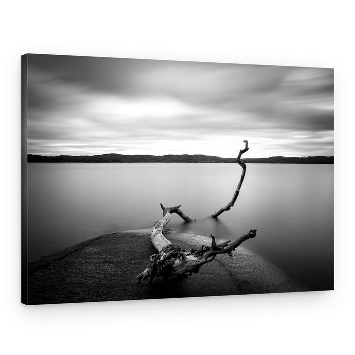 Tranquil Driftwood Lake – Canvas Print