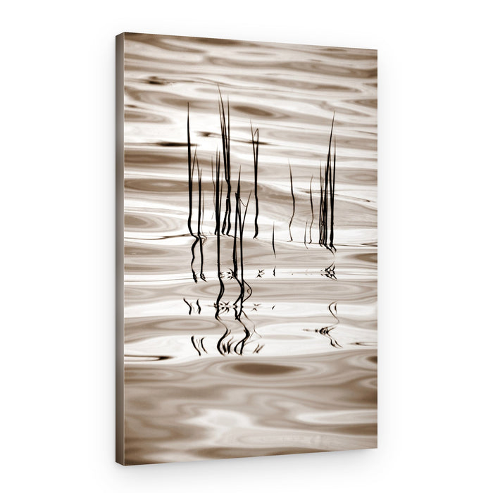 Minimalist Water Reeds – Canvas Print