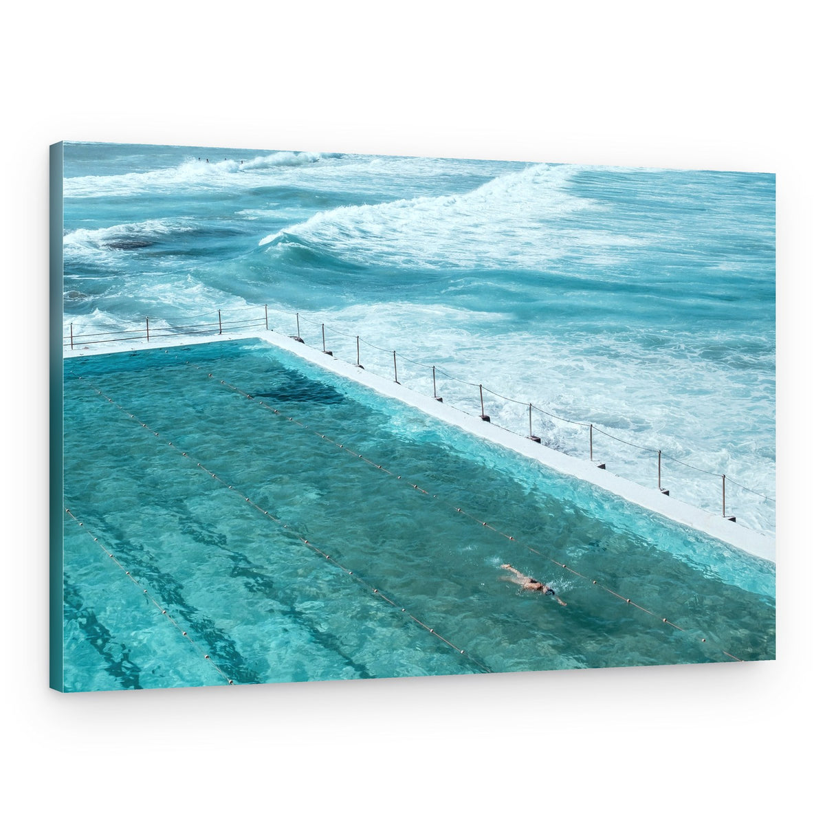 Ocean Pool Swimmer – Canvas Print