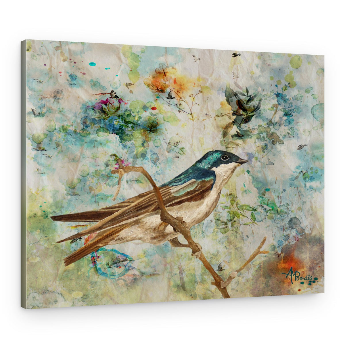 Serene Tree Swallow – Canvas Print
