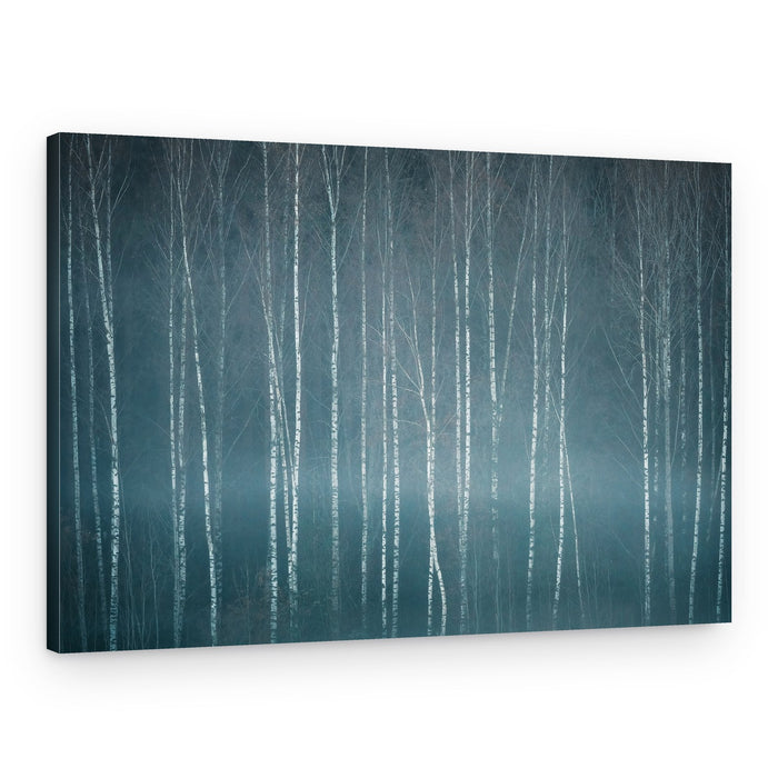 Misty Birch Forest – Canvas Print