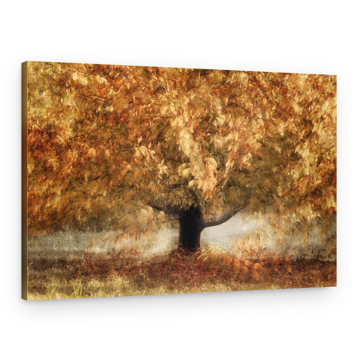 Gold colors – Canvas Print