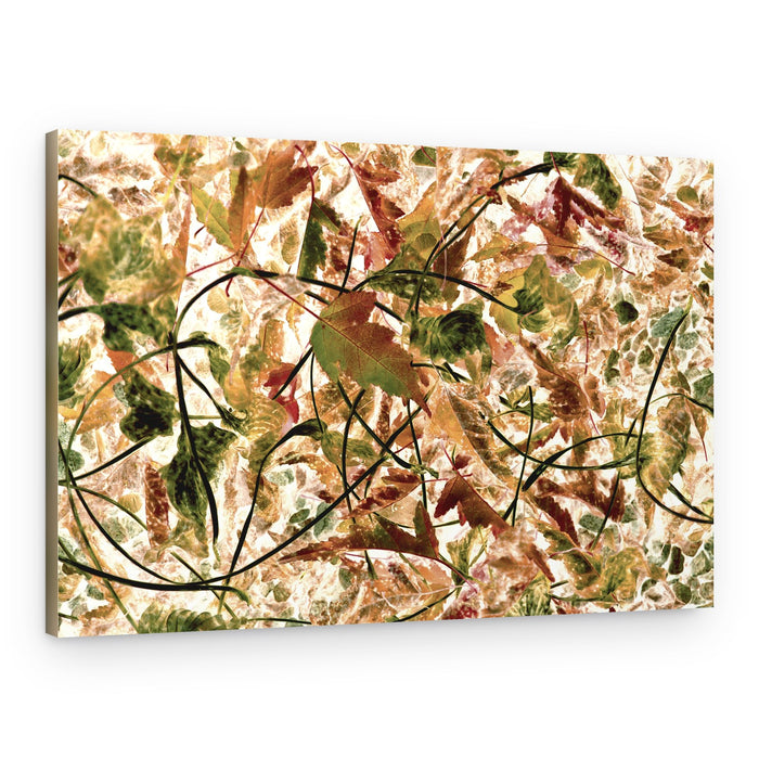 Tangled Autumn Foliage – Canvas Print