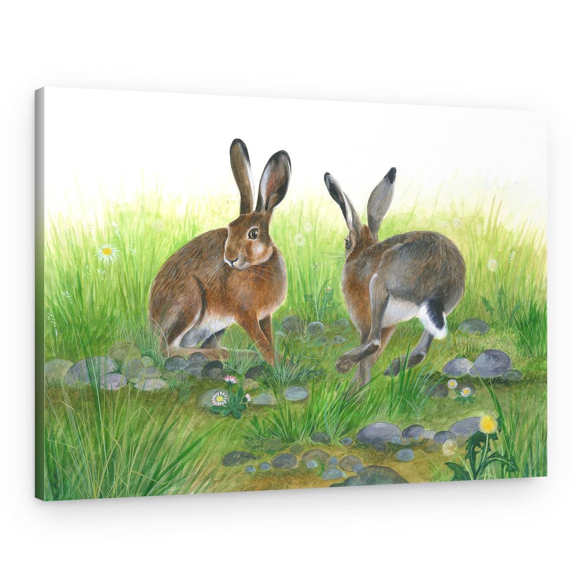 Hare Games – Canvas Print