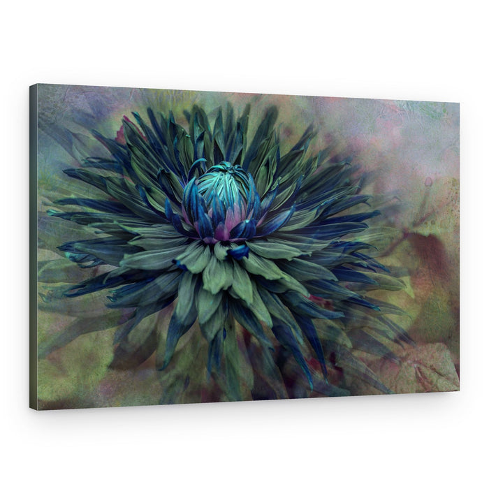 Moody Teal Dahlia – Canvas Print
