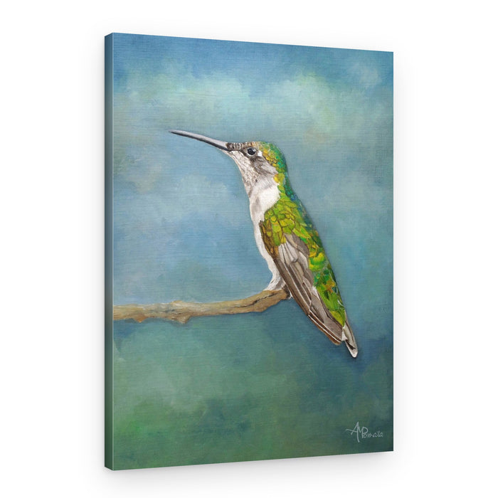 Vibrant Hummingbird Perch – Canvas Print