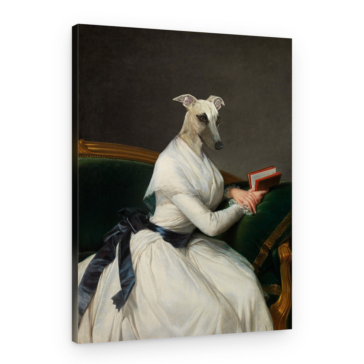 Elegant Whippet Reader – Canvas Print