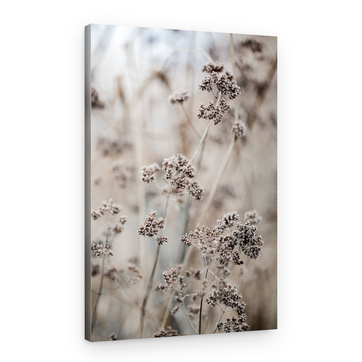 Unknown 8 – Canvas Print