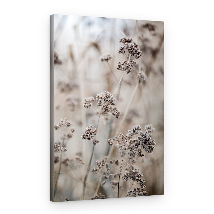Unknown 8 – Canvas Print