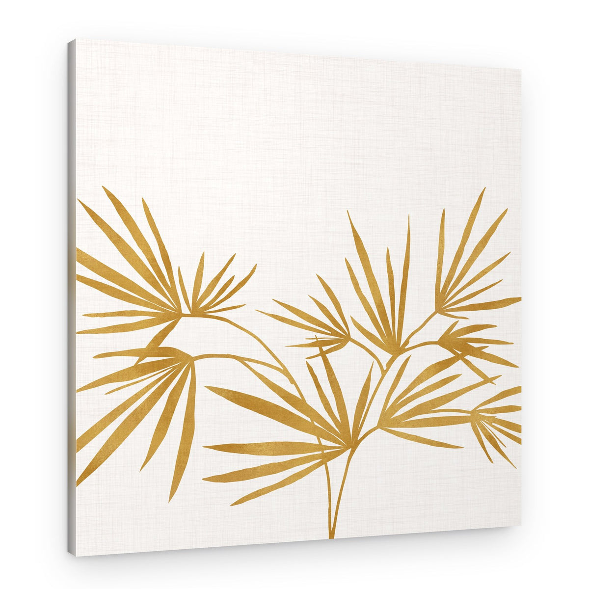 Gold Fan Palm – Canvas Print