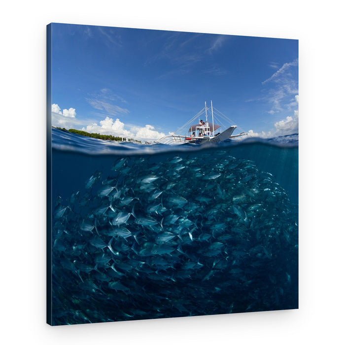 Tropical Fish School Boat – Canvas Print