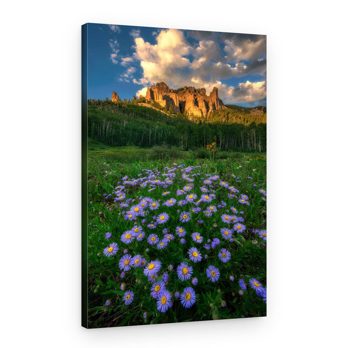 Majestic Wildflower Mountains – Canvas Print