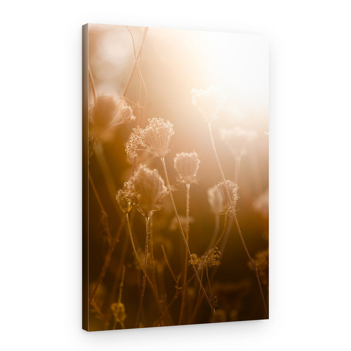 Golden Hour 1 – Canvas Print