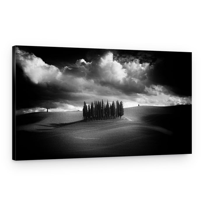 Dramatic Cypress Hills – Canvas Print