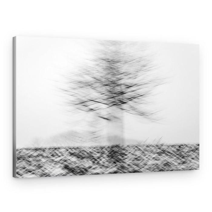 Blurred Winter Tree – Canvas Print