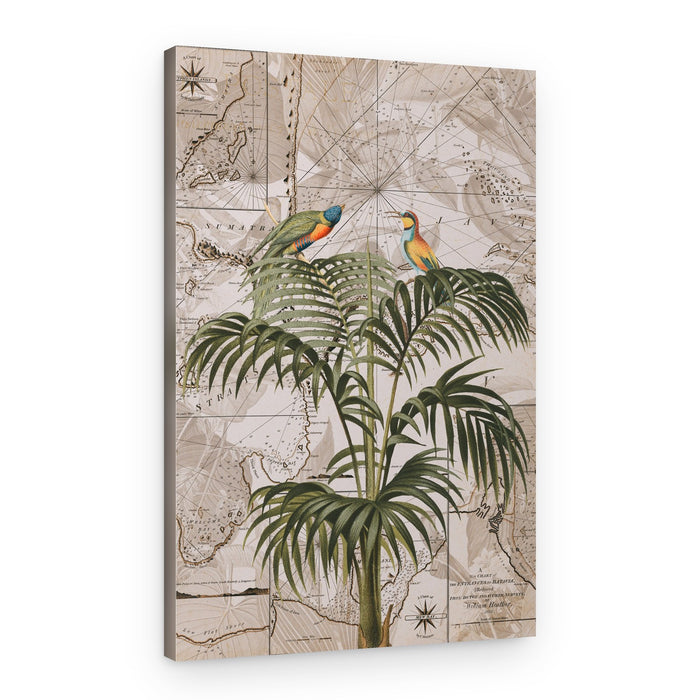 Tropical Birds Vintage Map – Canvas Print