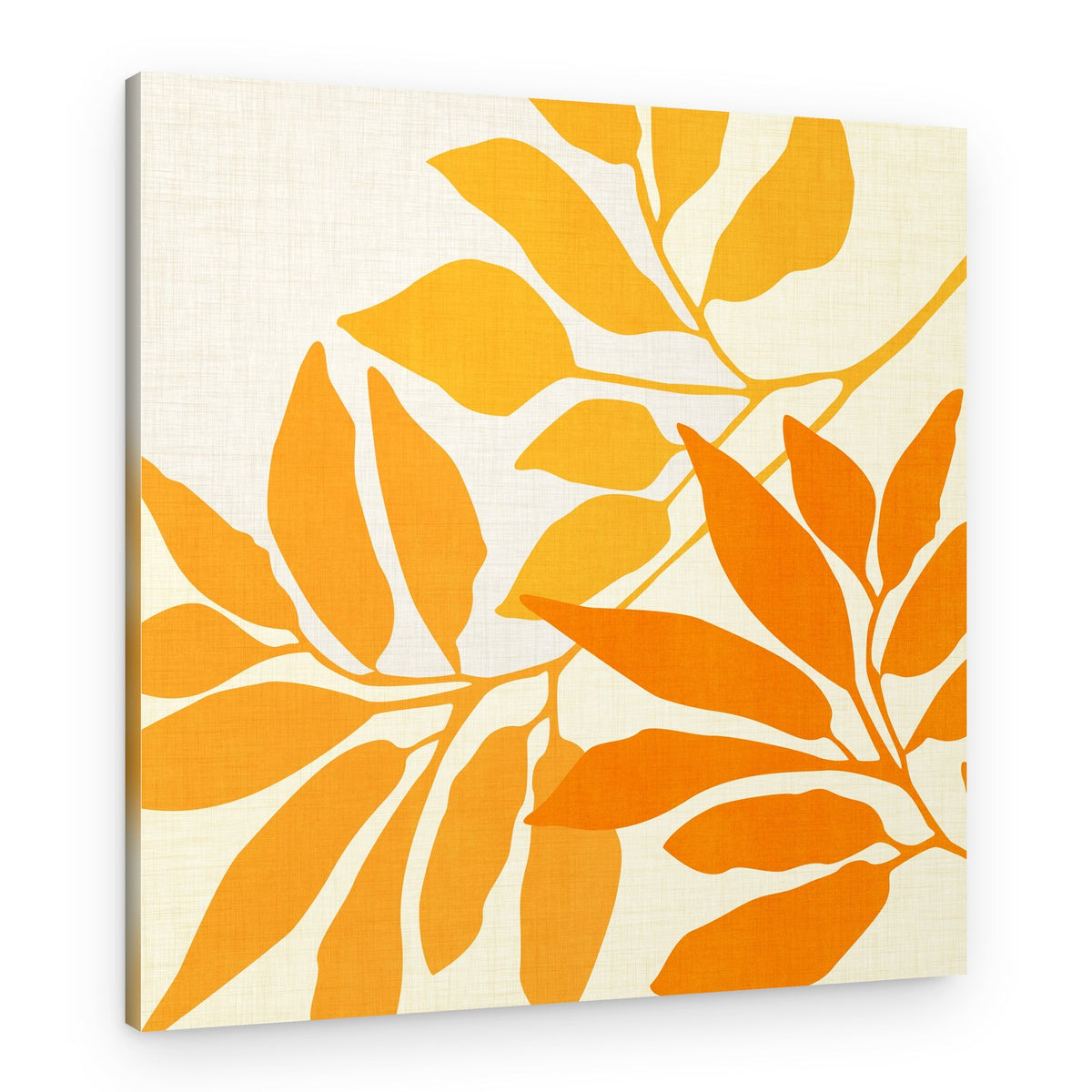 Sunshine Aspen – Canvas Print