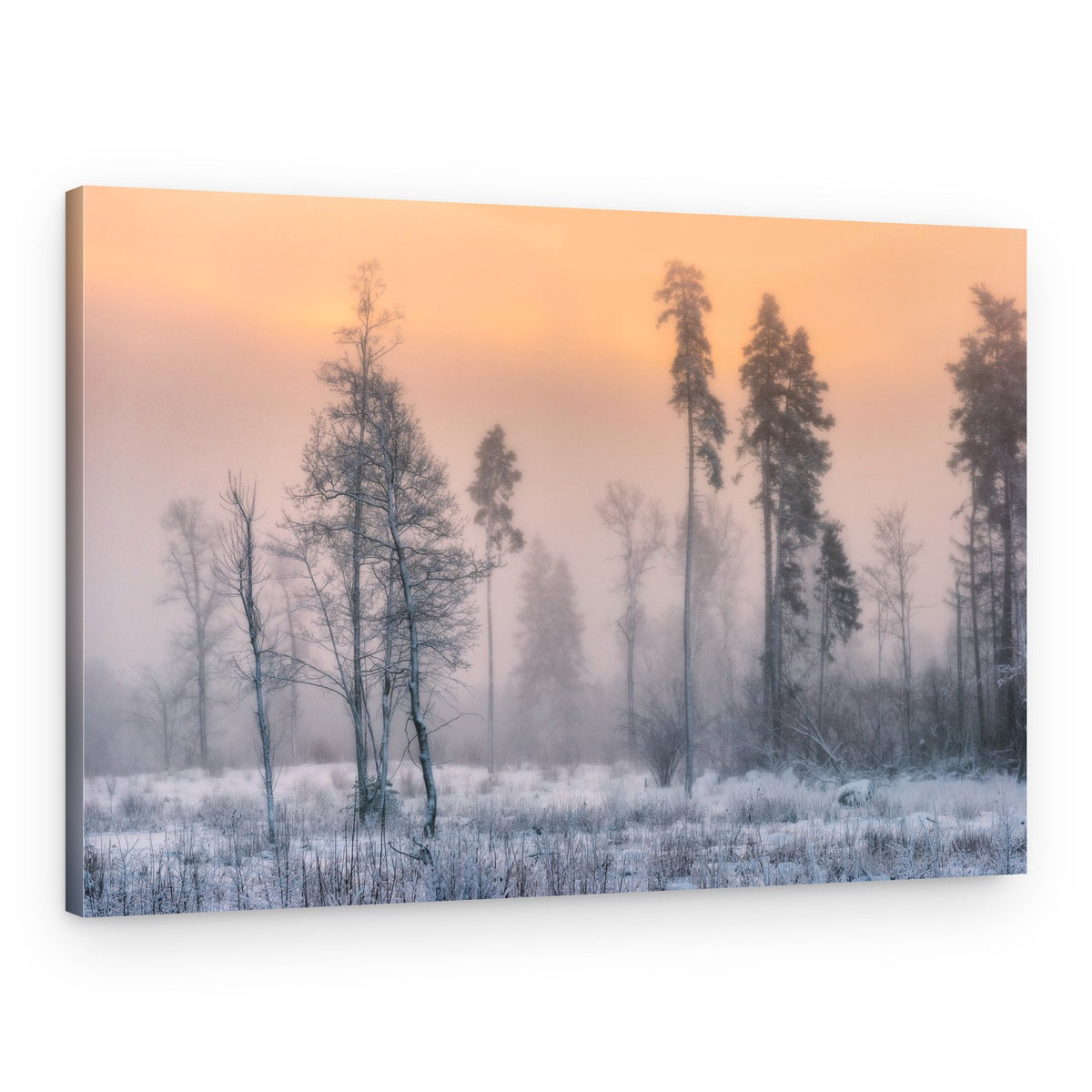 Misty Winter Dawn – Canvas Print