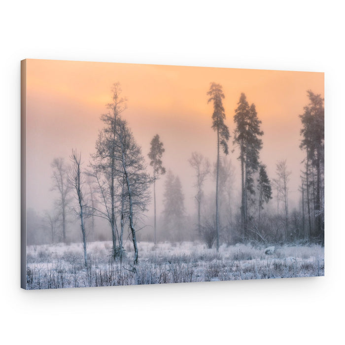 Misty Winter Dawn – Canvas Print