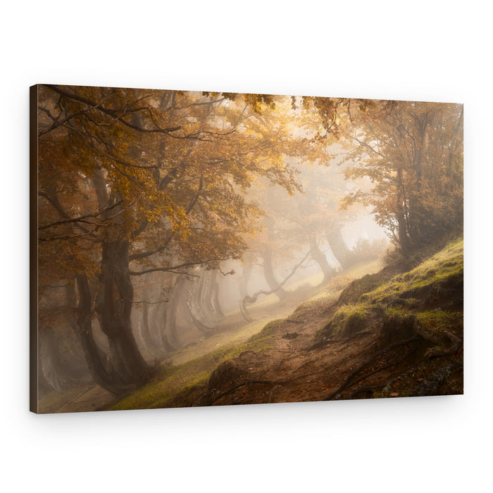 Misty Autumn Forest Path – Canvas Print
