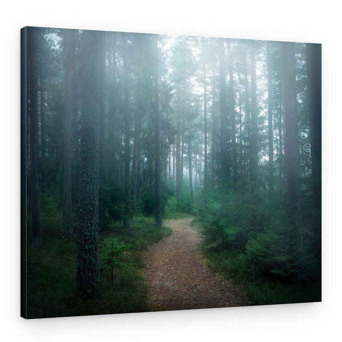 Misty Forest Path – Canvas Print