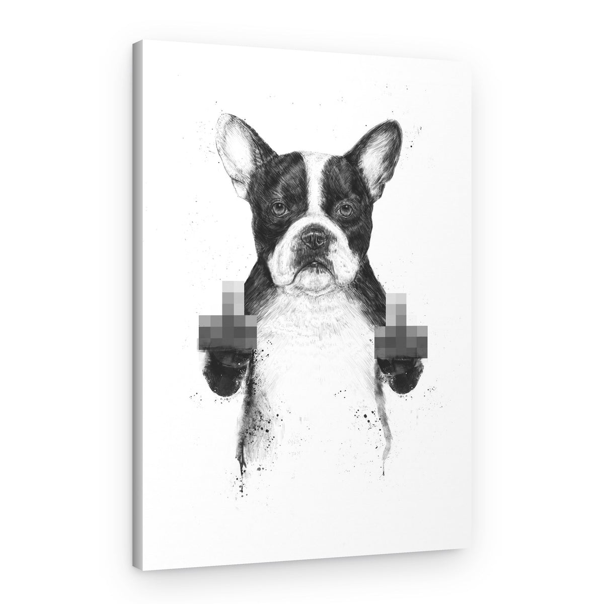 Rebellious Boston Terrier – Canvas Print