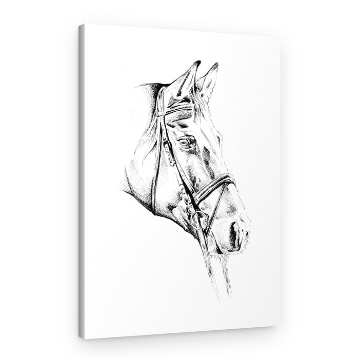 Elegant Bridled Horse – Canvas Print