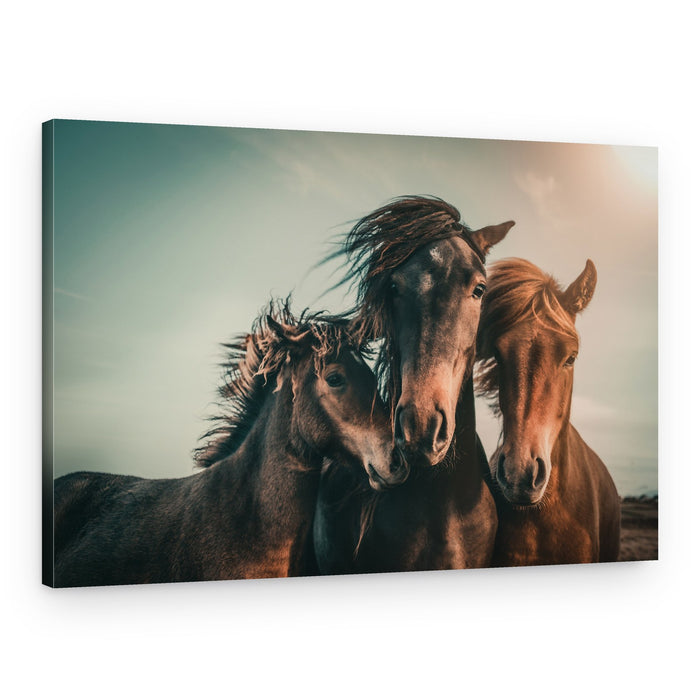 Wild Horse Family – Canvas Print