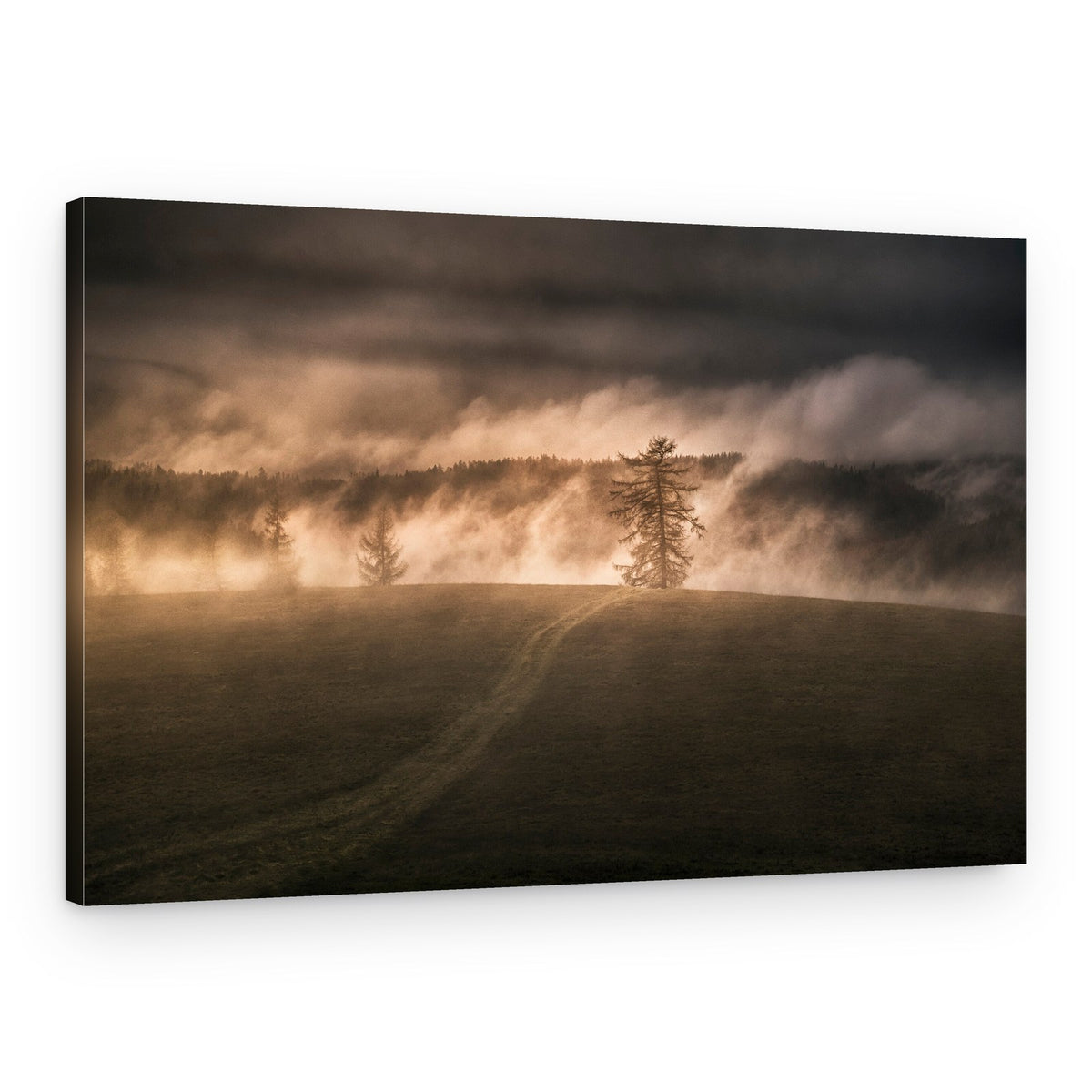 Golden Morning Mist – Canvas Print