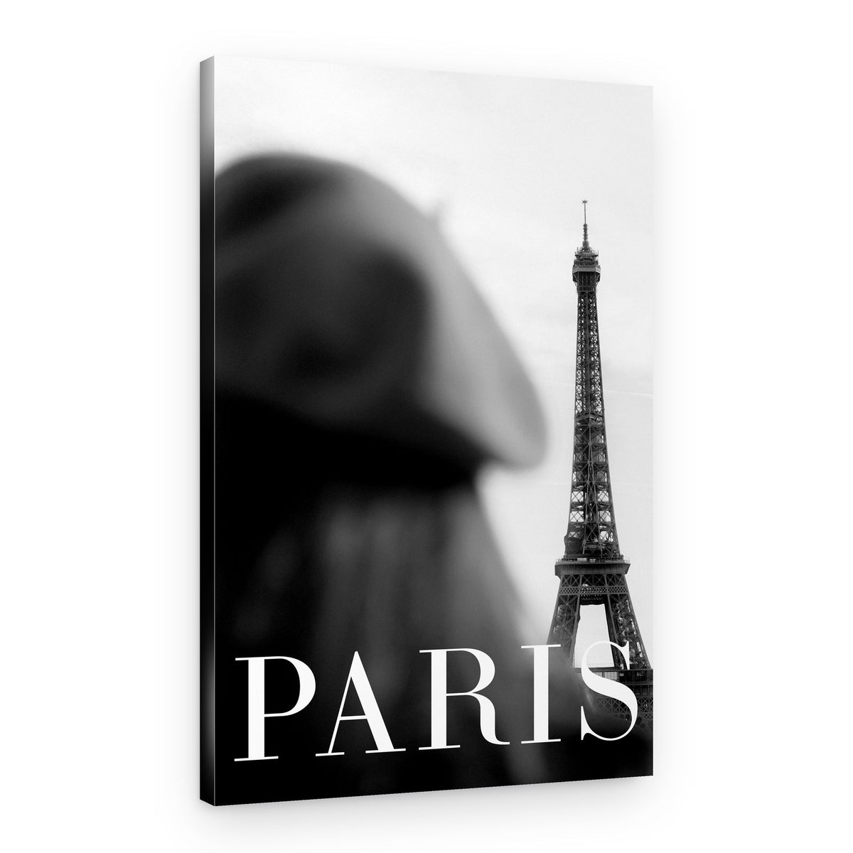 Classic Paris Tower View – Canvas Print